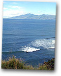 Honolua Bay Surfing
